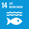 Life Below Water - UN SDG Goal 14