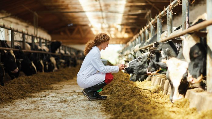 Food safety standards in agriculture: a Dutch overview
