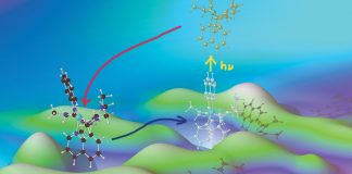 Catching the entatic state in photochemistry