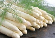 PROFILE: Automated agriculture with Sparter