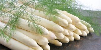 PROFILE: Automated agriculture with Sparter