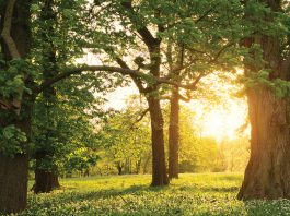 How to protect your digital assets