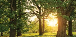 How to protect your digital assets