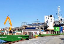 Sea lice treatment: Norway delivers the future of delousing sea lice treatment