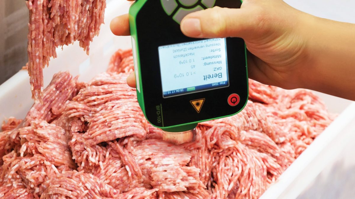 A portable measurement device for rapid food quality testing