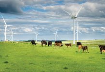 Integrated farm management: transforming sustainability in agriculture