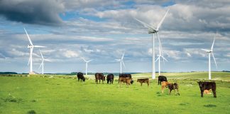 Integrated farm management: transforming sustainability in agriculture