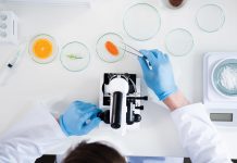 Food safety standards in an increasingly globalised world food safety standards