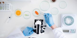 food safety standards