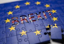 Will Brexit affect the EU meat trade industry?