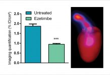 New radiopharmaceuticals for diagnosis and therapy at The Laboratoire Radiopharmaceutiques Biocliniques