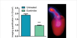New radiopharmaceuticals for diagnosis and therapy at The Laboratoire Radiopharmaceutiques Biocliniques