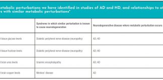 Towards a better understanding of age-related neurodegeneration