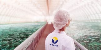 clean energy in aquaculture