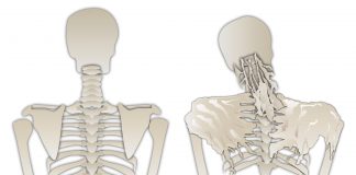 An image to illustrate iPS cell research