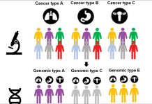 Diagnostic therapy efficacy assessment as a novel procedure in genomic medicine and rare cancer care