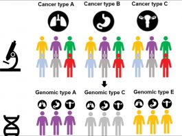 Diagnostic therapy efficacy assessment as a novel procedure in genomic medicine and rare cancer care