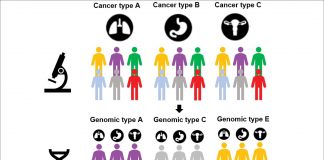 Diagnostic therapy efficacy assessment as a novel procedure in genomic medicine and rare cancer care