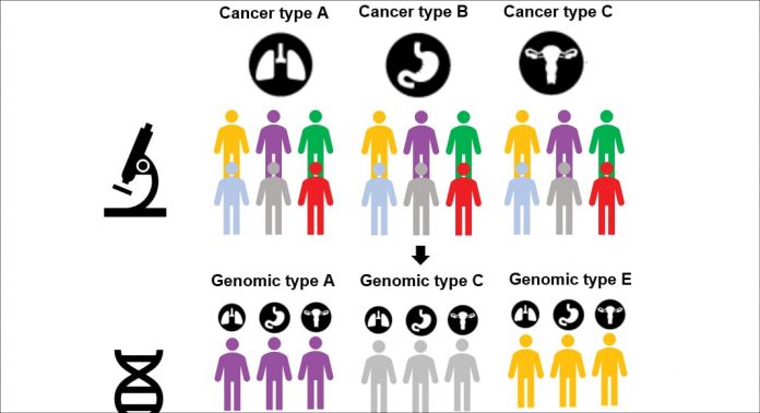 Diagnostic therapy efficacy assessment as a novel procedure in genomic medicine and rare cancer care