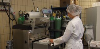 The EcoBerries project