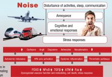 The evidence for noise-induced cardiovascular disease