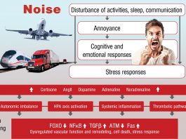 The evidence for noise-induced cardiovascular disease