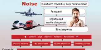 The evidence for noise-induced cardiovascular disease