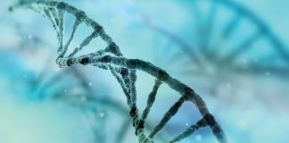 The challenges of Complex Traits Genetics