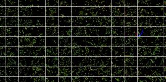 The Image Data Resource: publishing big image data online