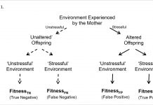 Understanding the evolution of maternal stress effects and seemingly maladaptive outcomes