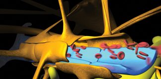 Traumatic brain injury: what is the future?