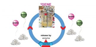 Biotechnology of natural products: from allergens to the production of aroma glucosides