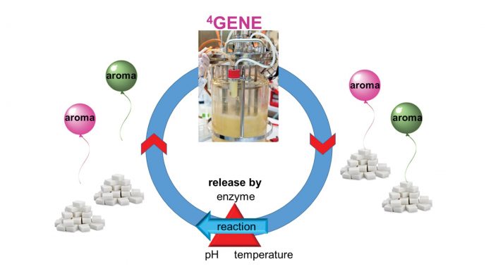 Biotechnology of natural products: from allergens to the production of aroma glucosides