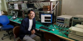 Hardware security and safety: semiconductor IC chips and VLSI systems