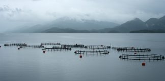 Tools and Aquaculture for Aquaculture Sustainability (TAPAS)