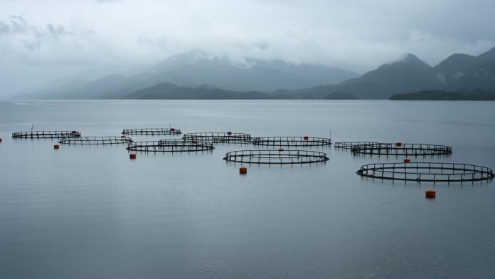 Tools and Aquaculture for Aquaculture Sustainability (TAPAS)