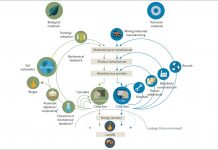 The circular economy concept