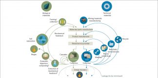 The circular economy concept