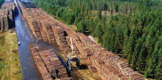 LIGNOL® by RenFuel: a sustainable solution from the Swedish forest