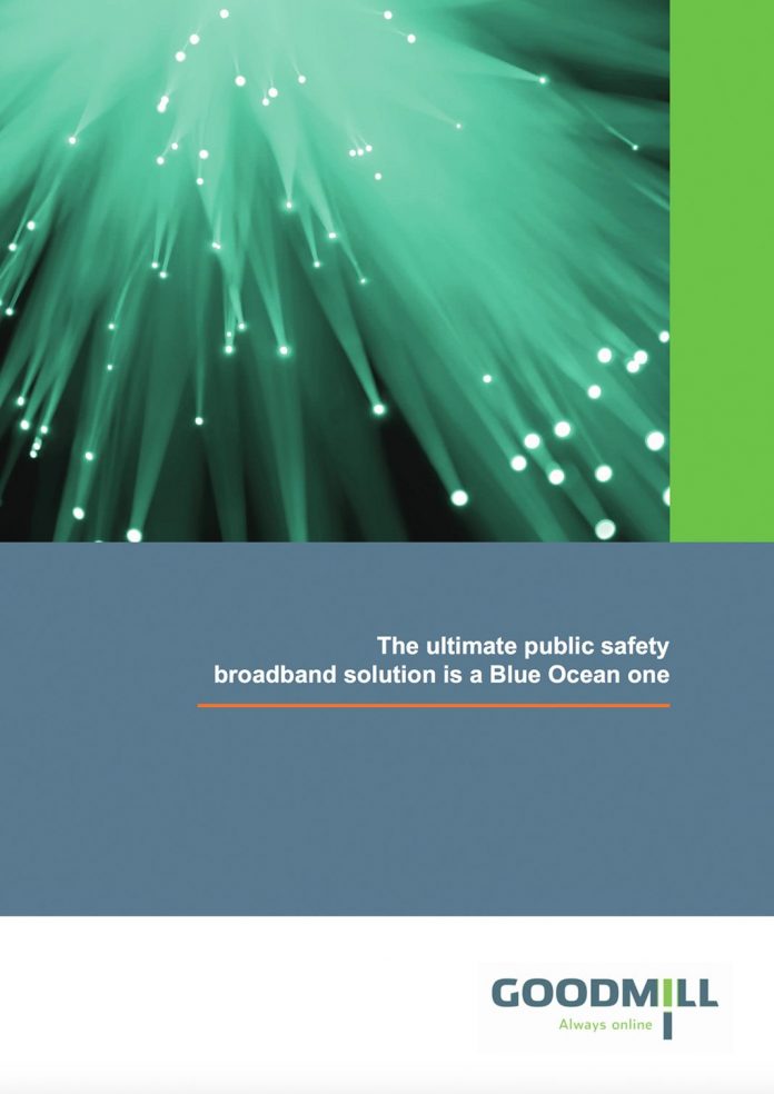 public safety and security|