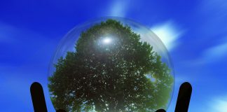 Progress towards the Paris Agreement climate targets