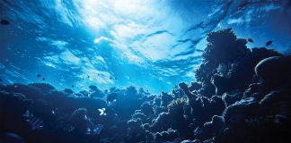 Marine Protected Areas