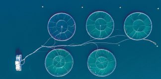 sustainable aquaculture