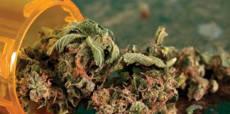 An image to illustrate medical cannabis and the role of the International Cannabis and Cannabinoids Institute