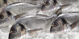 sustainable aquaculture