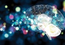 Promoting neuroscience in Europe with FENS neuroscience in europe