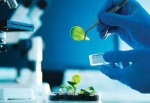 Food waste reduction: plant-derived fungicide could save millions of tonnes food waste reduction