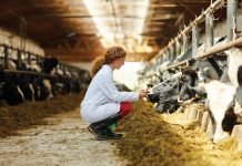 Food safety standards in agriculture: a Dutch overview food safety standards in agriculture
