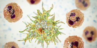 how giant viruses infect amoebae