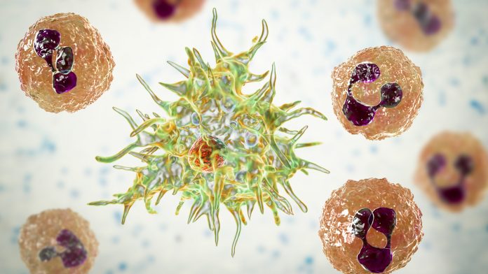 how giant viruses infect amoebae